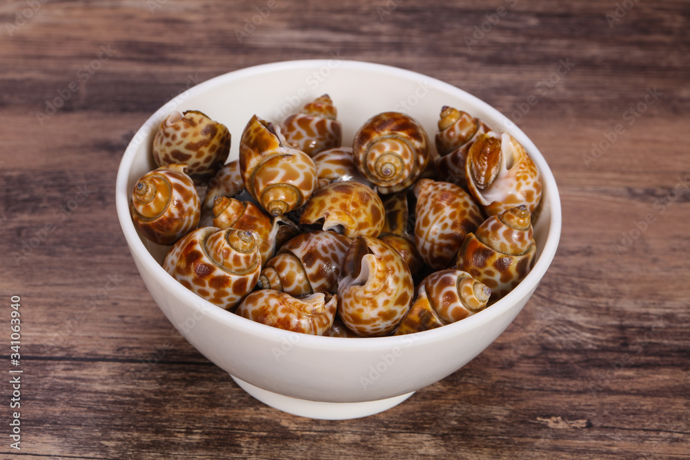 Obraz premium Tasty mollusk - spotted Babylon in the bowl