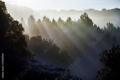 Fototapeta Naklejka Na Ścianę i Meble -  bruma de la mañana, niebla