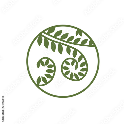 Fern leaves vector icon. Image of green leaves in a circle. This is a sign, logo or icon for your business or project.