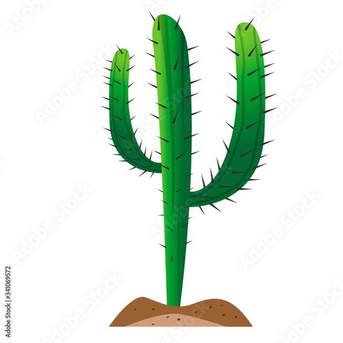 Isolated cactus icon
