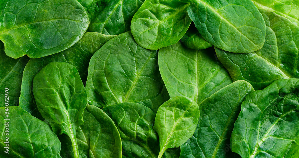 Fresh green spinach, background with leaves, spinach texture - obrazy, fototapety, plakaty 