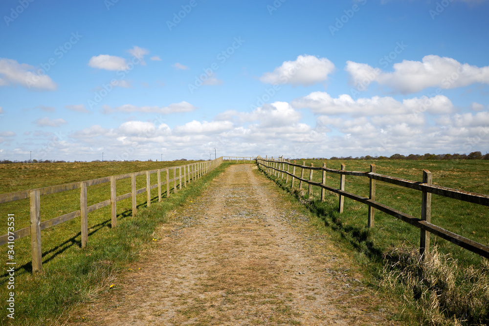 Dirt road through moor land with wooden fence either side. Leading line into distance with blue sky and space for copy text. Landscape image