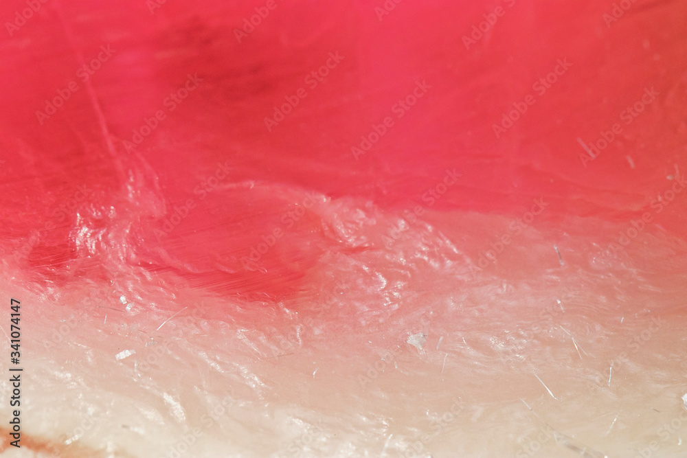 Fototapeta premium Beautiful abstract texture: multi-colored handmade soap in natural light macro shot. Background for postcards or text design.
