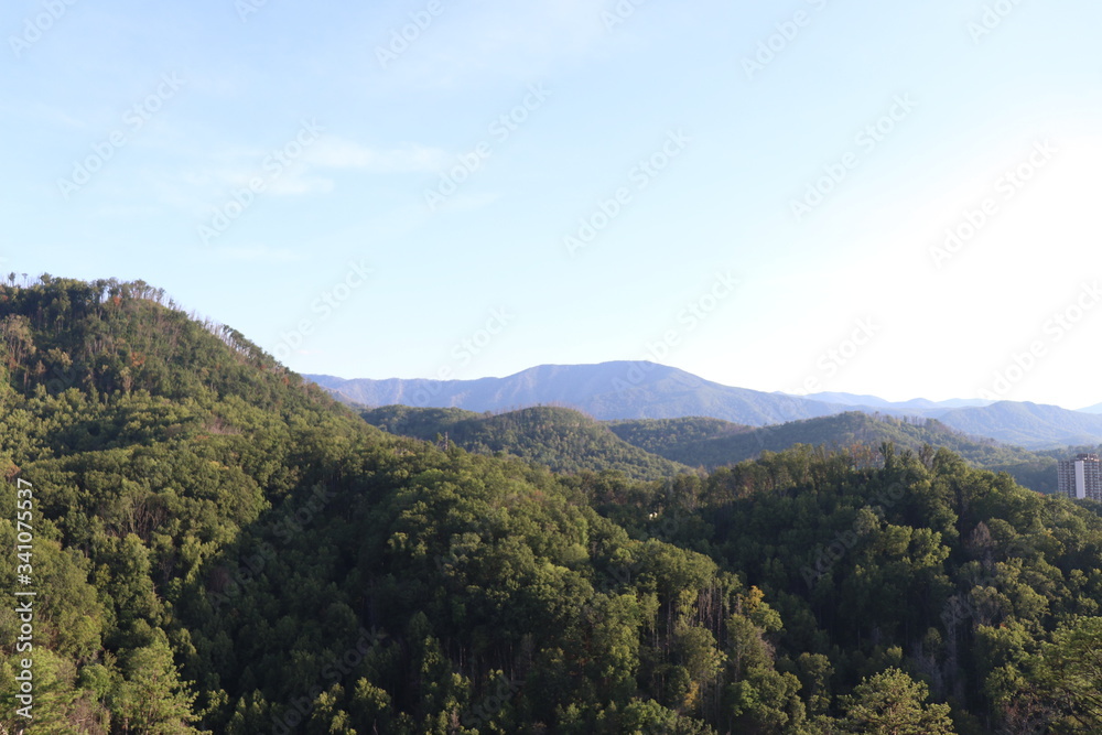Smokies Smokies