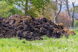 Large mound of cow manure