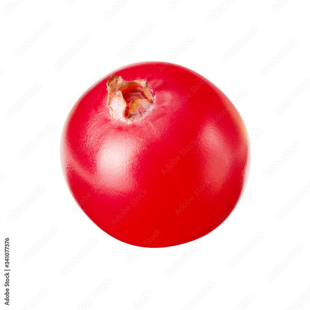 One cranberry isolated on white background. macro