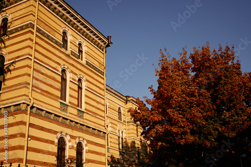 Beautiful yellow ancient building with old windows and clear blue sky with tree nearby on a sunset time