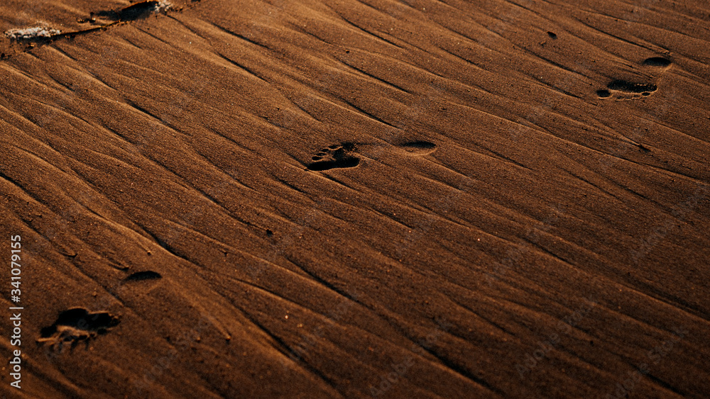 Fototapeta premium Footprints in the wet sand