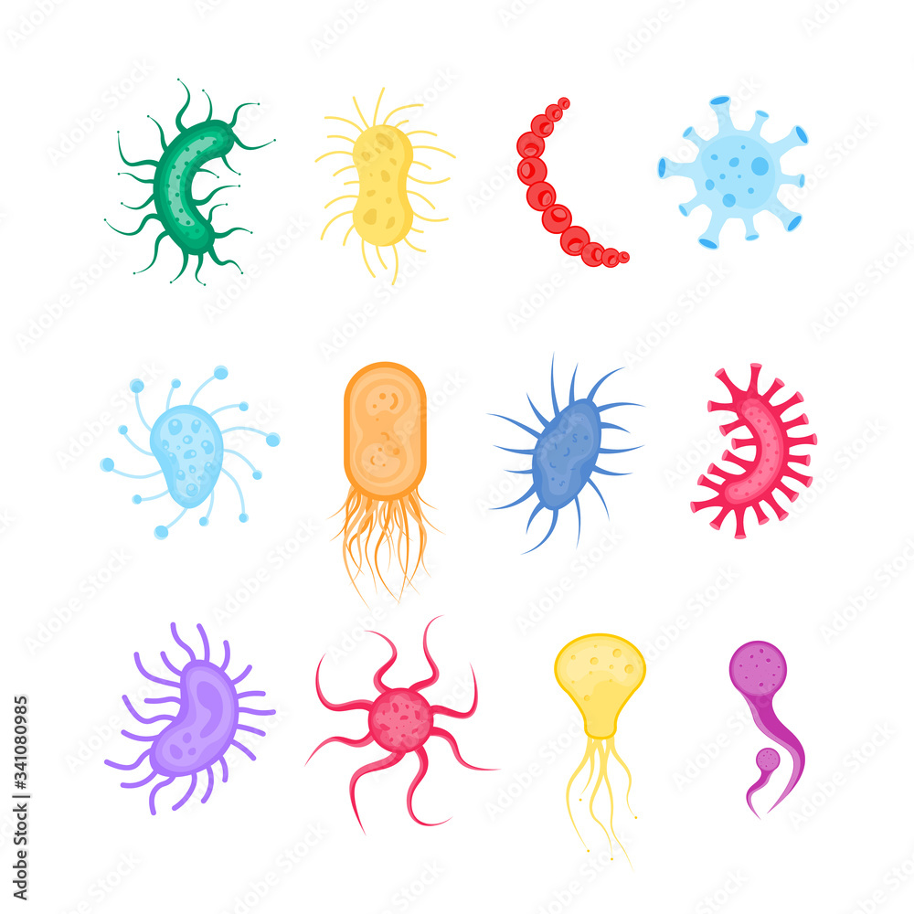 Fototapeta premium Bacterium, bacteria, microbes