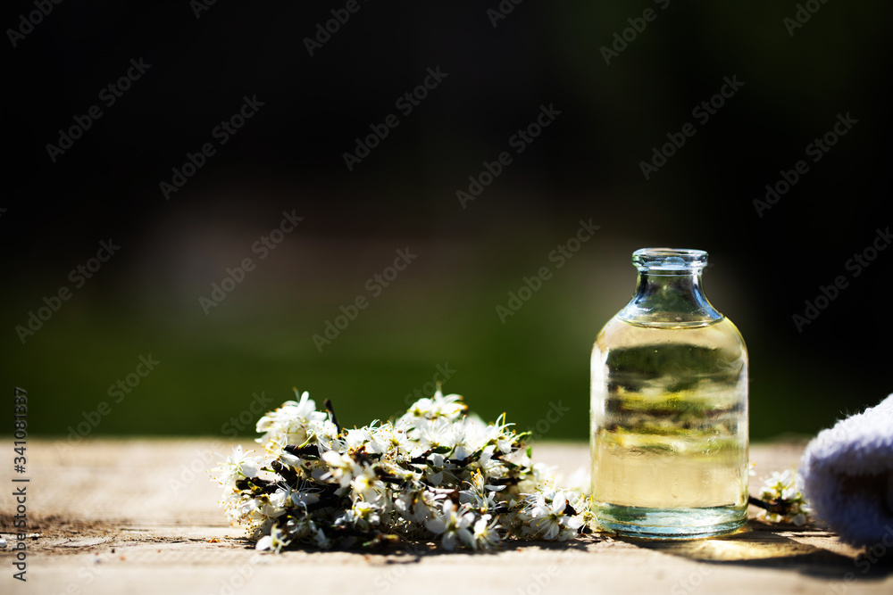 essential oil and lavender essential oil and lavender