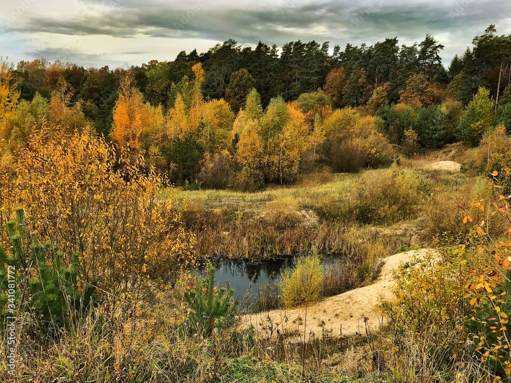 autumn landscape with lake and sand