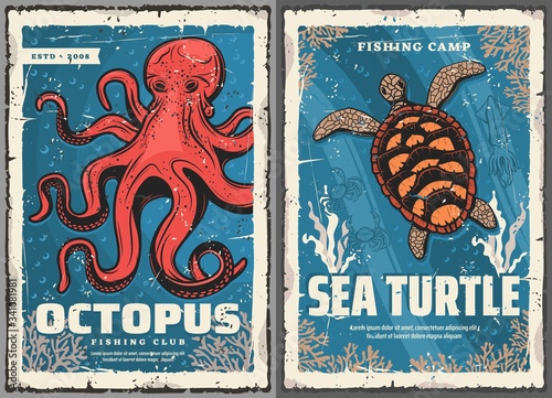 Sea turtle, octopus, crab and squid retro posters of fisherman club and fishing sport vector design. Seafood animals, crustacean and mollusk in blue water with ocean corals and seaweed