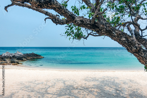 Tropical beach, white sand turquoise sea in the foreground green tree. 