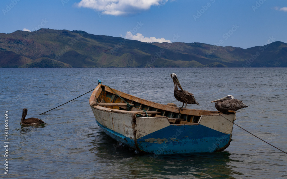 Pelicans on a fishing boat in the sea with mountains in the back