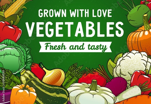 Vegetables, vector food of farm garden. Tomato, peppers and green cabbage, carrot, radish and cauliflower, zucchini, corn and onion, eggplant, potato, pumpkin and beet, asparagus, squash and kohlrabi