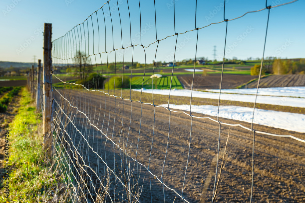 wire farming fence