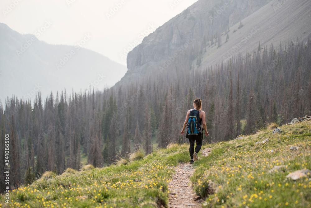 female traveler and hiker hiking in the mountains of Colorado 