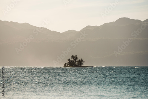 small palm tree island with beautiful mountains in the caribbean