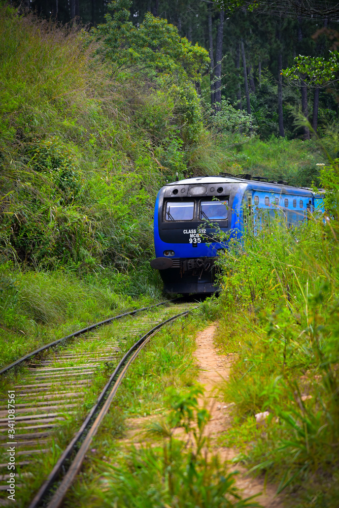 Fototapeta premium Aileen Hartwig