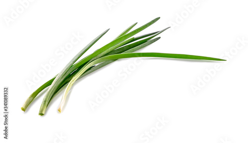 fresh green onion feathers close-up isolated on white background 
