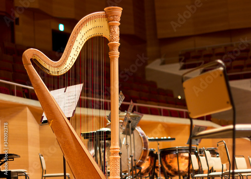 Harp in a large concert hall. Musical instrument.The concert harp
