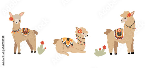 Vector illustration of a cute llama in various poses. Fluffy alpacas in patterned cape.