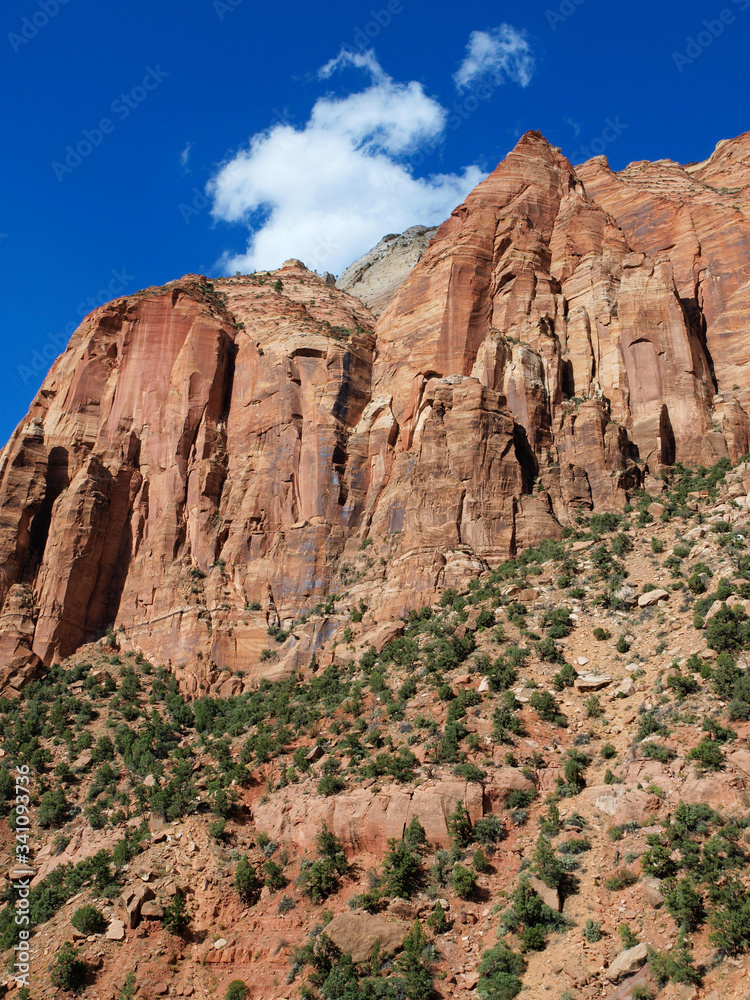 Fototapeta premium Zion National Park in Utah