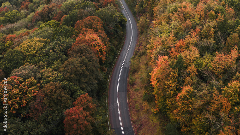 Autumn drone shot