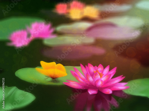 Tropical flower with butterfly. Tropical aquatic flower in a pond with bubbles bokeh effect. Painted on Fine Art paper with oil colors