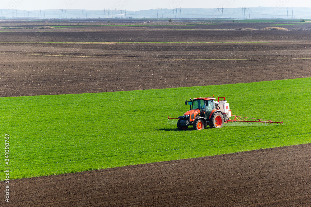 Fototapeta premium Tractor spraying wheat in field