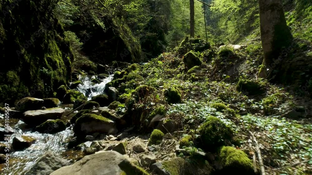 Fast aerial view over a rocky torrent with small waterfalls in the Black Forest in a beautiful landscape
