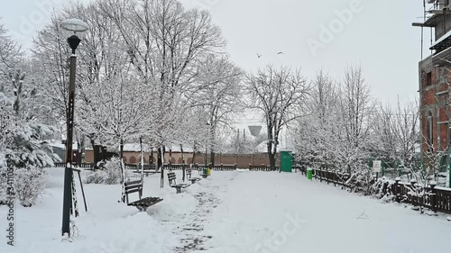 Parque nevado con cuervos Romania CHITILA Bucaresti
