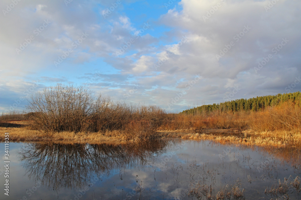 Spring bare shrub near a river on blue sky background.