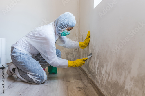 Worker of cleaning service removes the mold using scraper tool. photo