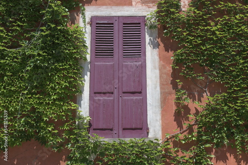 old house with green shutters