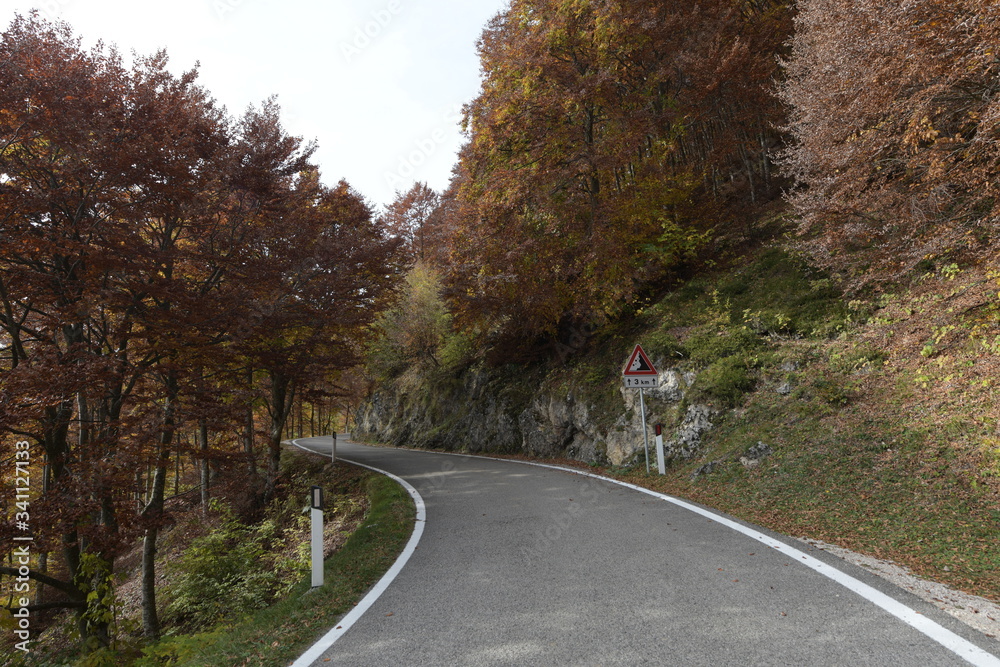 Obraz premium road in autumn