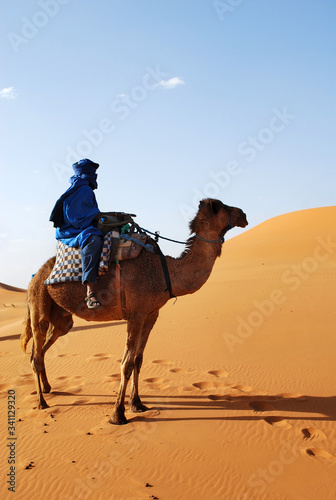 Man Riding Camel Through The Sahara Desert