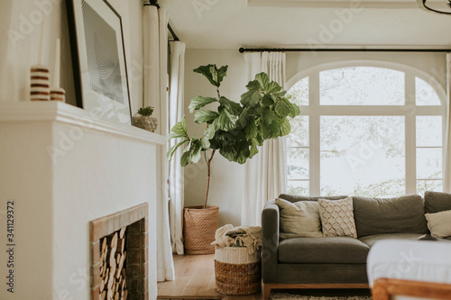 Cozy home living room photo