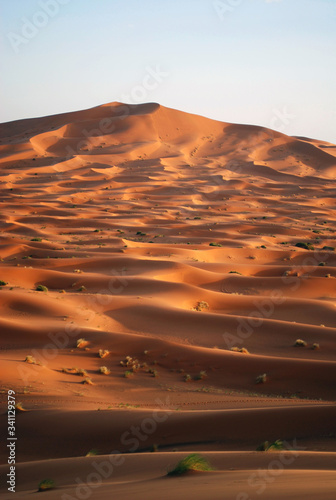 Footprints In The Sahara Desert Sands at Sunset