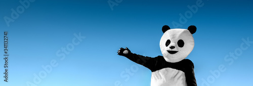 Panoramic portrait of man in costume of panda, showing with hands on empty space, on background of blue sky.