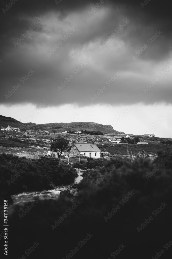 Countryside in black and white