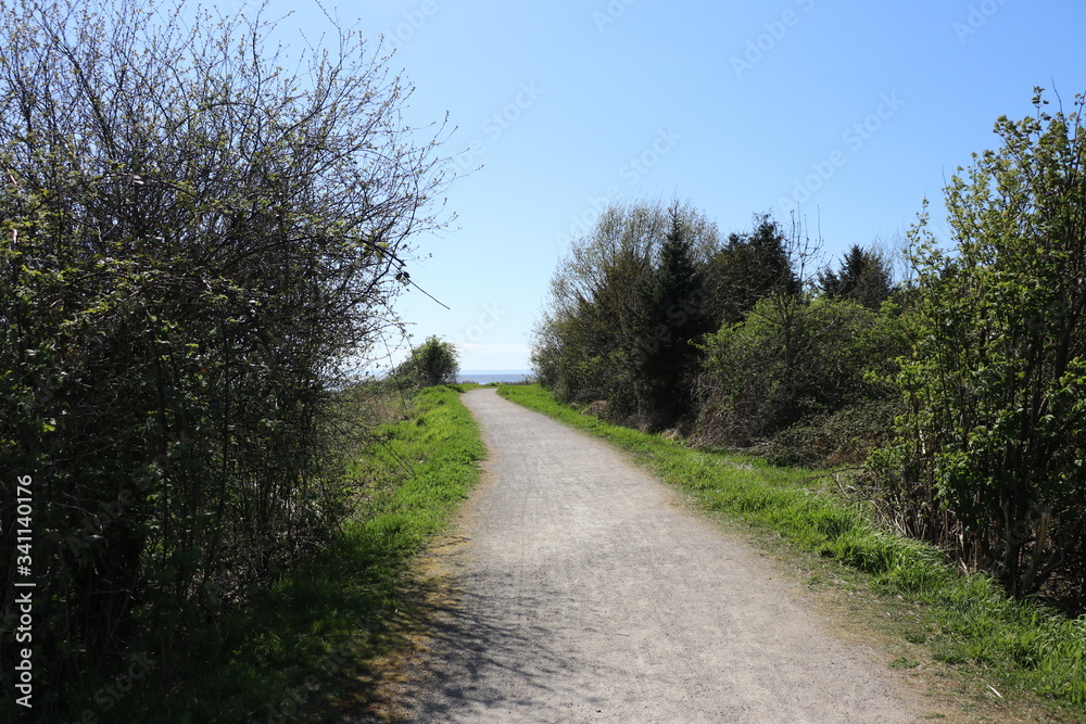 Pathway that does go right eventually with trees on one side and ocean at the end