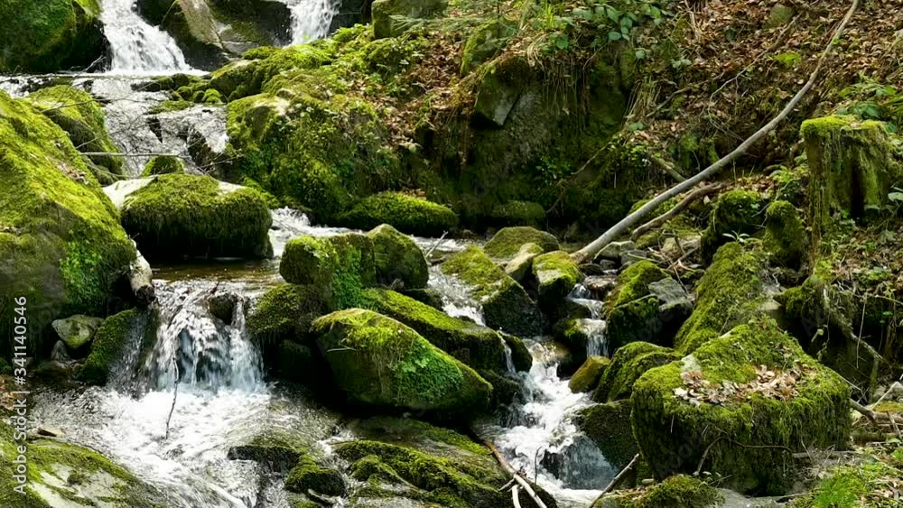 Slow motion of a small cascade waterfall in the Black Forest in a beautiful landscape Slow motion of a small cascade waterfall in the Black Forest in a beautiful landscape