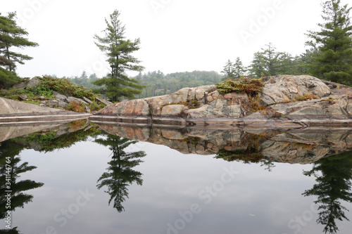 forest reflections on lake