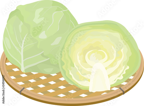 キャベツ　半分　かご盛り