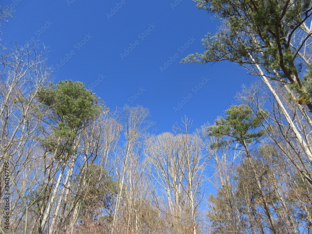 Obraz premium Georgia Colorful Sky 2