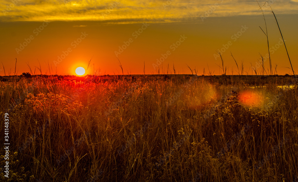 Fototapeta premium atardecer, cielo, paisaje, campa, sol, naturaleza, amanecer, césped, madrugada, anaranjada, verano, nube, acuático, nube, dehesa, árbol, anochecer, campesina, agricultura, trigo, alba, lago, chacras, 