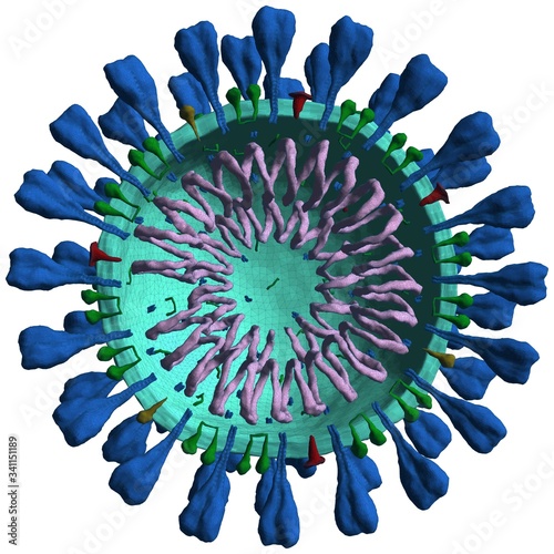 Corona Virus Intersection Vector. Illustration Isolated On White Background. A Vector Illustration Of Coronavirus.