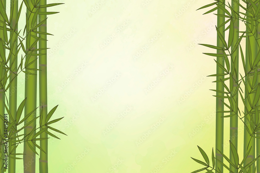 Naklejka premium Bamboo tree background