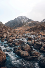 Papier peint photo Pantone 2025 Mocha Mousse Scottish nature and landscape  © Rawpixel.com